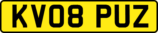 KV08PUZ