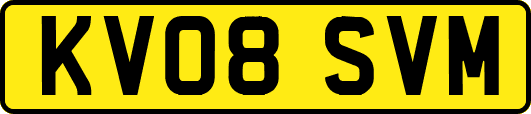 KV08SVM