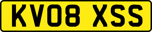 KV08XSS