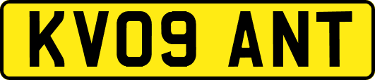KV09ANT