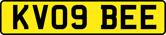 KV09BEE