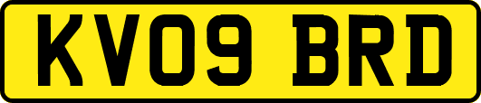 KV09BRD