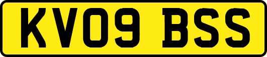 KV09BSS