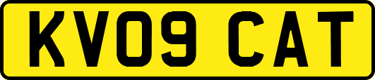 KV09CAT