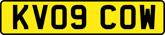 KV09COW