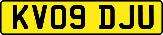 KV09DJU