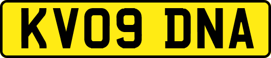 KV09DNA