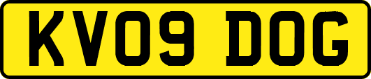 KV09DOG