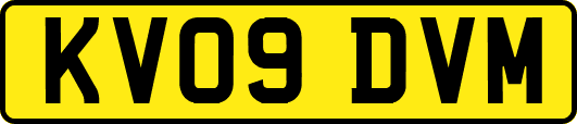 KV09DVM