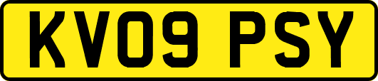 KV09PSY