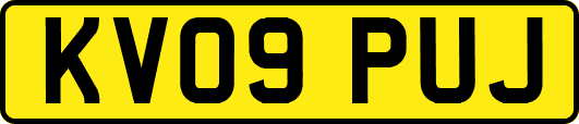 KV09PUJ