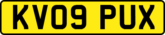 KV09PUX