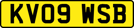 KV09WSB