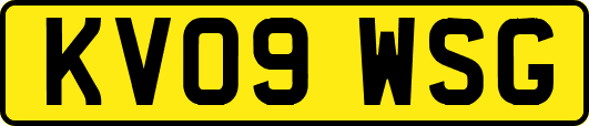 KV09WSG