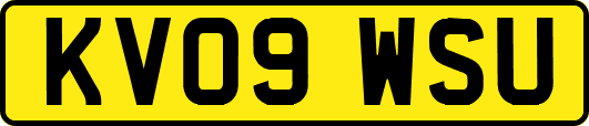 KV09WSU
