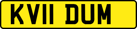 KV11DUM