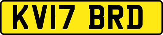 KV17BRD
