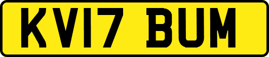KV17BUM