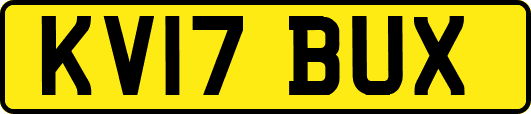 KV17BUX