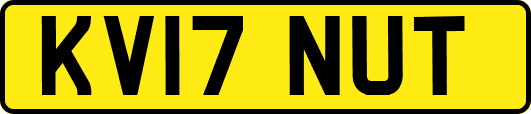 KV17NUT