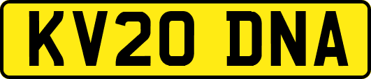 KV20DNA