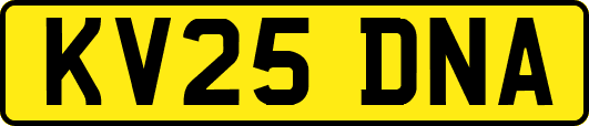 KV25DNA
