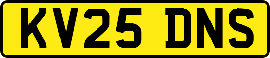 KV25DNS