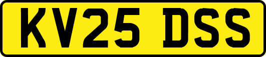 KV25DSS