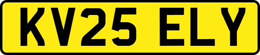 KV25ELY