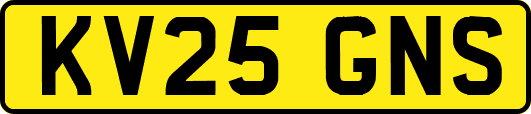 KV25GNS