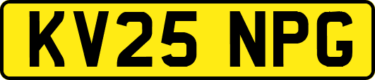 KV25NPG