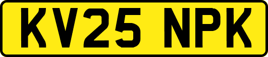 KV25NPK