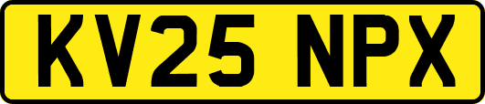 KV25NPX