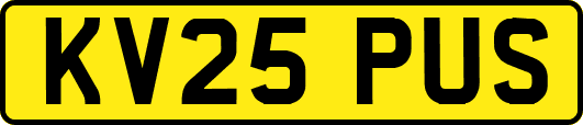 KV25PUS