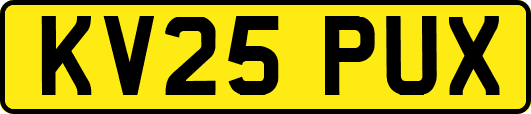 KV25PUX