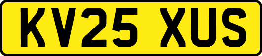 KV25XUS