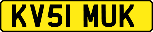 KV51MUK