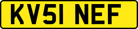 KV51NEF