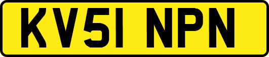 KV51NPN