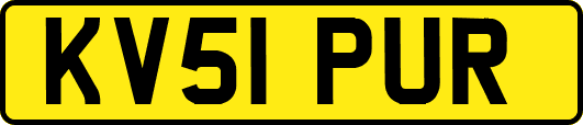 KV51PUR