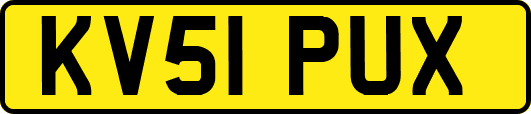 KV51PUX