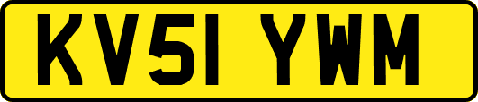 KV51YWM