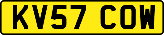 KV57COW