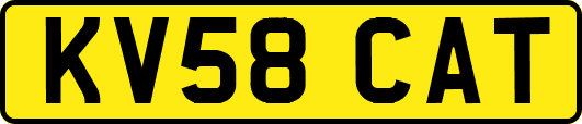 KV58CAT