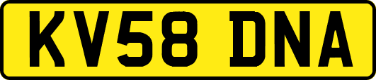 KV58DNA