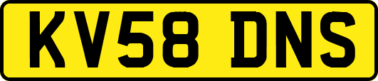 KV58DNS