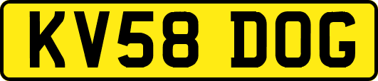 KV58DOG