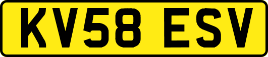 KV58ESV