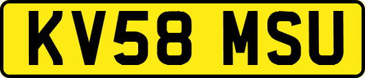KV58MSU