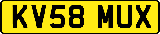 KV58MUX
